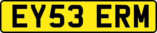 EY53ERM