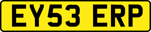 EY53ERP