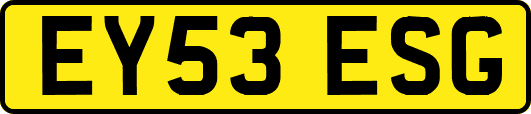 EY53ESG