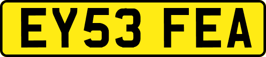 EY53FEA