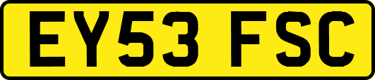 EY53FSC