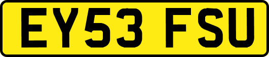 EY53FSU