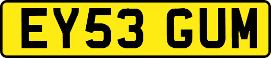 EY53GUM