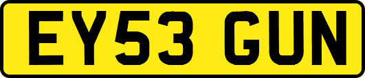 EY53GUN