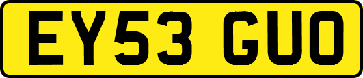 EY53GUO