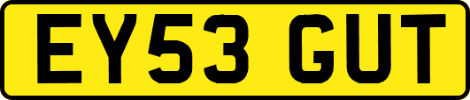 EY53GUT