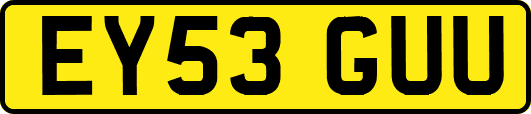 EY53GUU