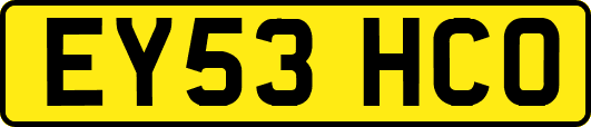 EY53HCO