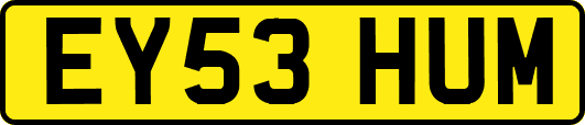EY53HUM