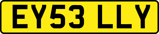 EY53LLY
