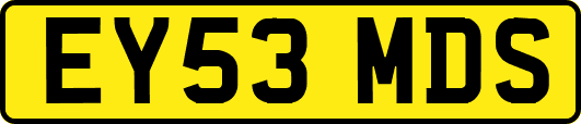 EY53MDS