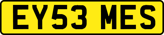 EY53MES