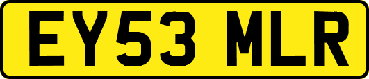 EY53MLR