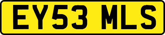 EY53MLS