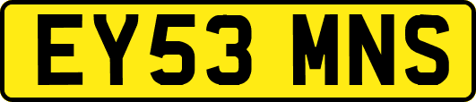 EY53MNS