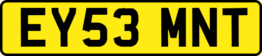 EY53MNT