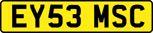 EY53MSC