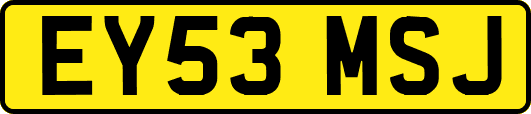 EY53MSJ
