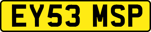 EY53MSP