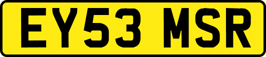 EY53MSR