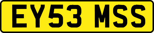 EY53MSS