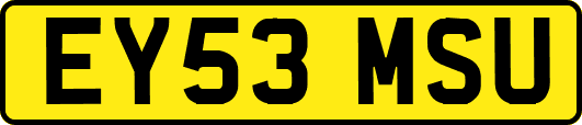 EY53MSU