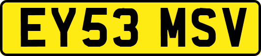 EY53MSV