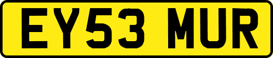 EY53MUR