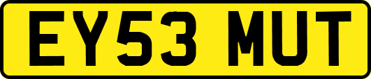 EY53MUT
