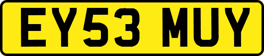 EY53MUY