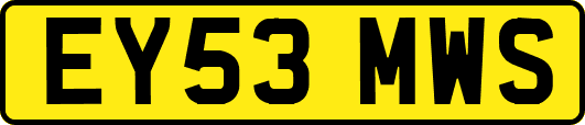 EY53MWS