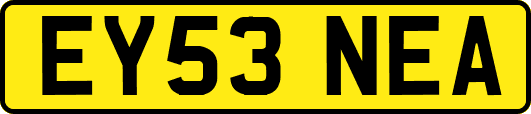 EY53NEA