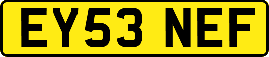 EY53NEF