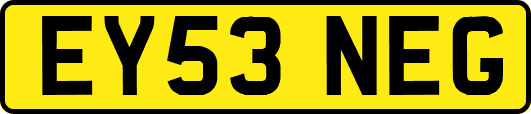 EY53NEG