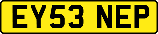 EY53NEP