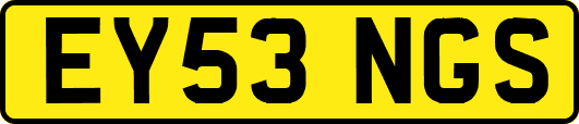 EY53NGS