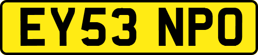 EY53NPO