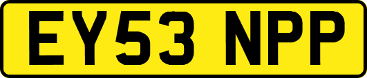 EY53NPP