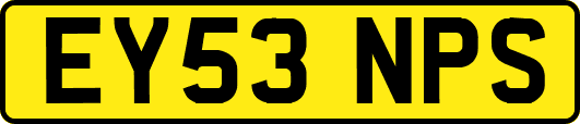 EY53NPS