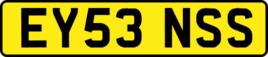 EY53NSS