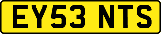 EY53NTS