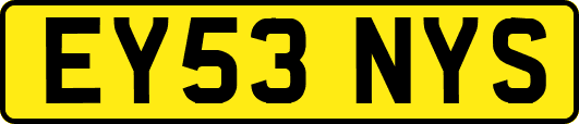 EY53NYS