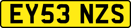 EY53NZS