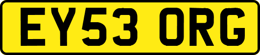 EY53ORG