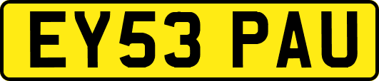 EY53PAU