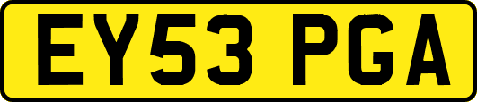 EY53PGA