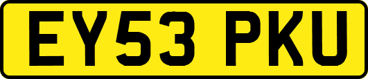 EY53PKU