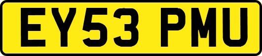 EY53PMU
