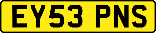 EY53PNS