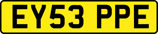 EY53PPE